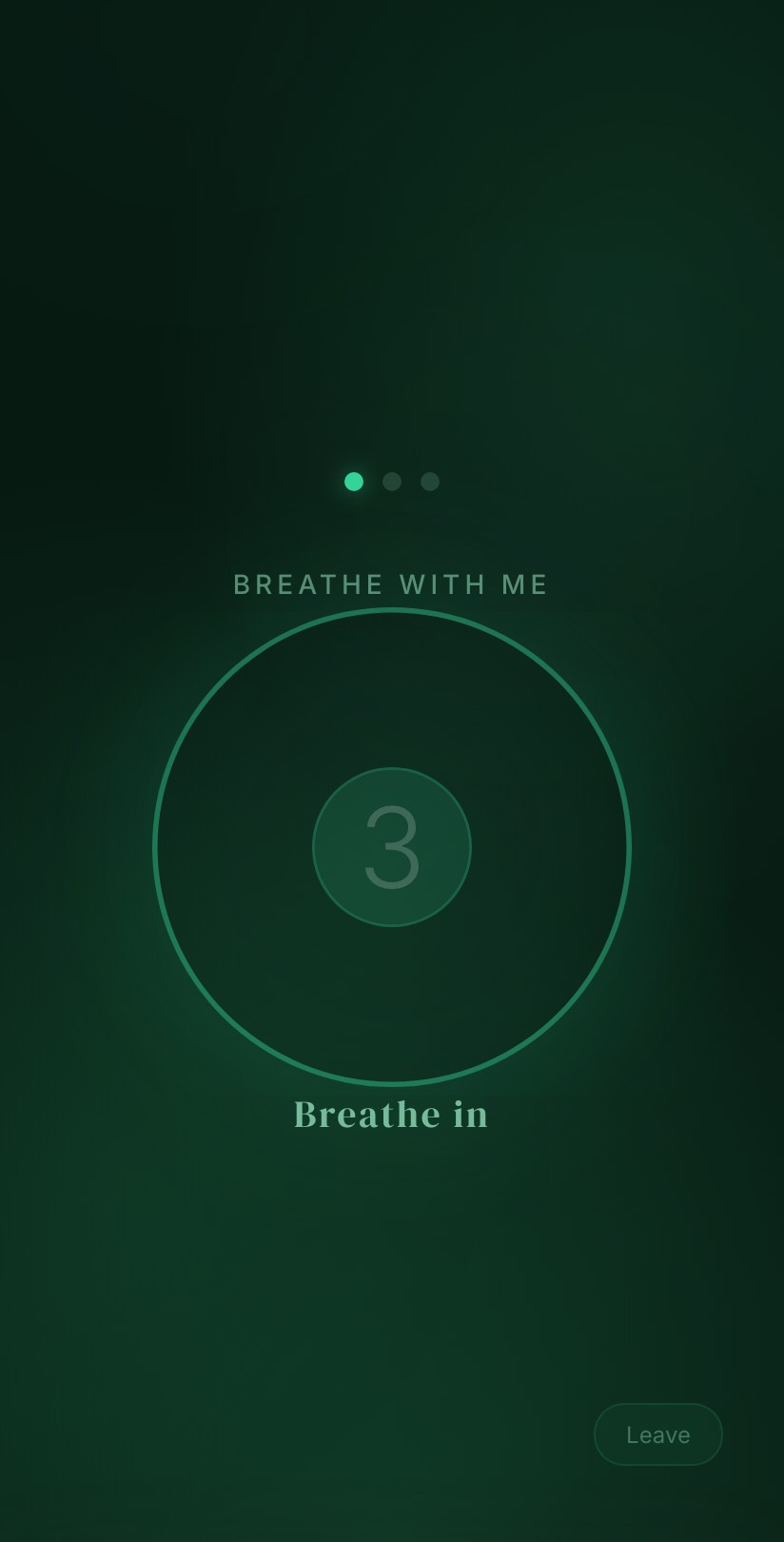 Zen Mode breathing circle with countdown